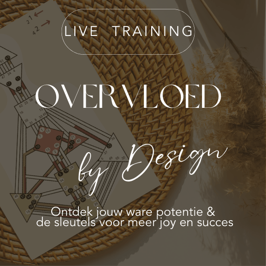 Overvloed by Design Training (co creatie Hanneke Wessel en Ria Kaaashoek)
